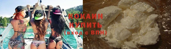 кокс Богородицк