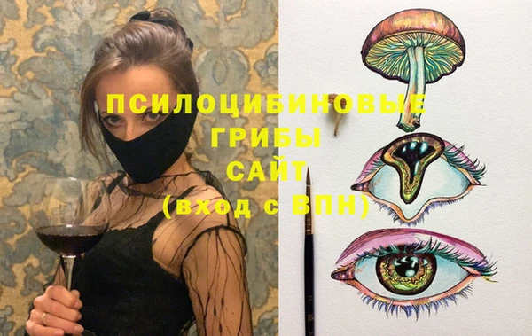кокс Богородицк