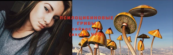 винт Бугульма