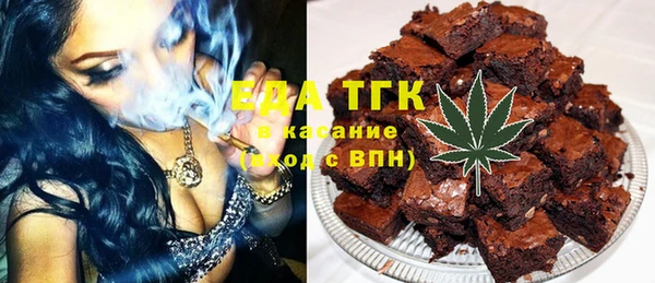 индика Богданович