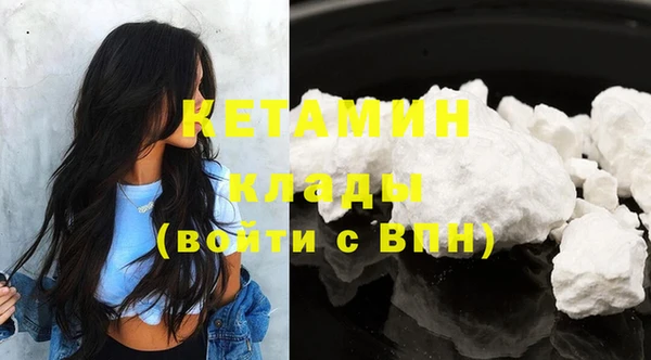 индика Богданович